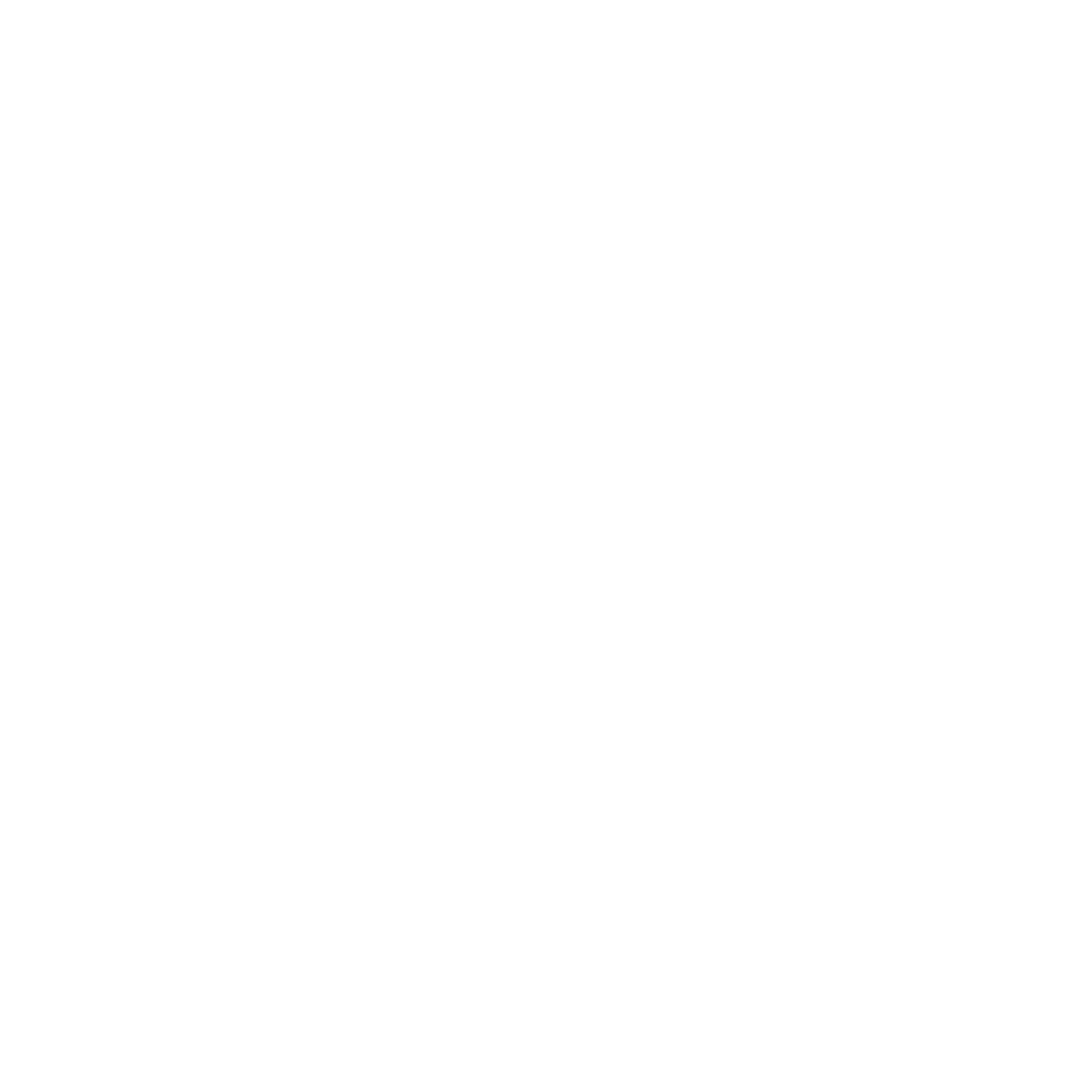 Elizabeth City White Logo